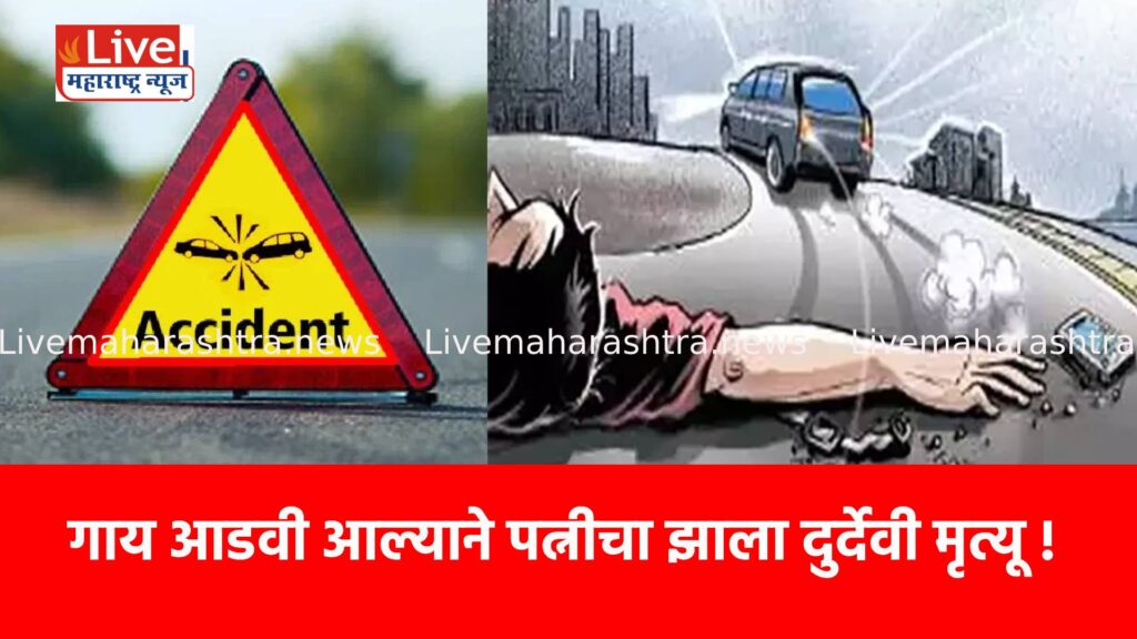 गाय आडवी आल्याने पत्नीचा झाला दुर्देवी मृत्यू !