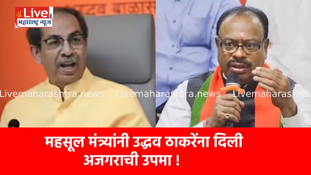 महसूल मंत्र्यांनी उद्धव ठाकरेंना दिली अजगराची उपमा !