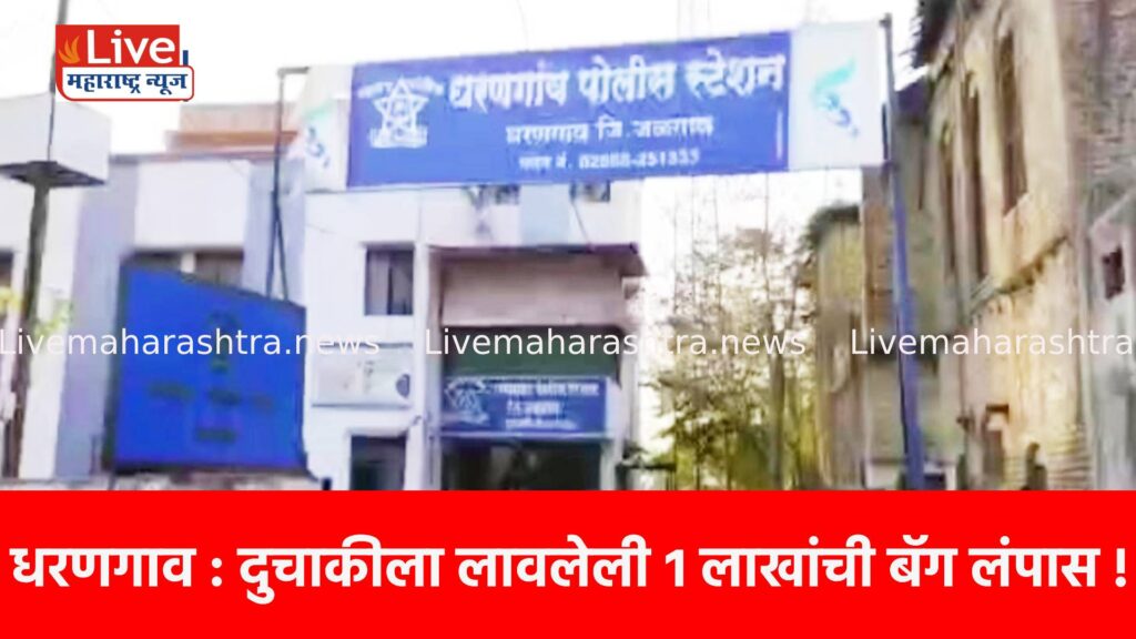 धरणगाव : दुचाकीला लावलेली १ लाखांची बॅग लंपास !