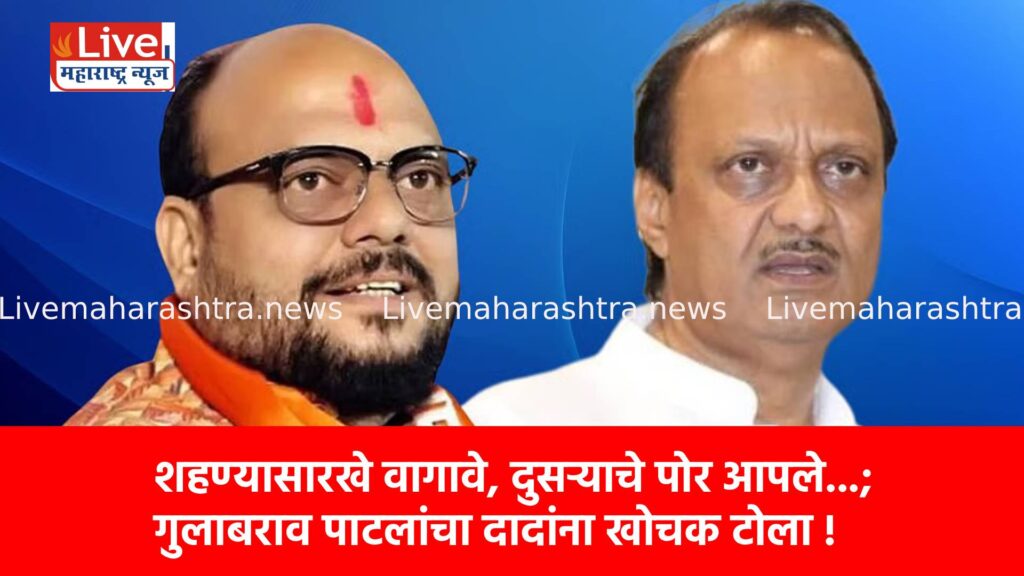 शहण्यासारखे वागावे, दुसऱ्याचे पोर आपले…; गुलाबराव पाटलांचा दादांना खोचक टोला !