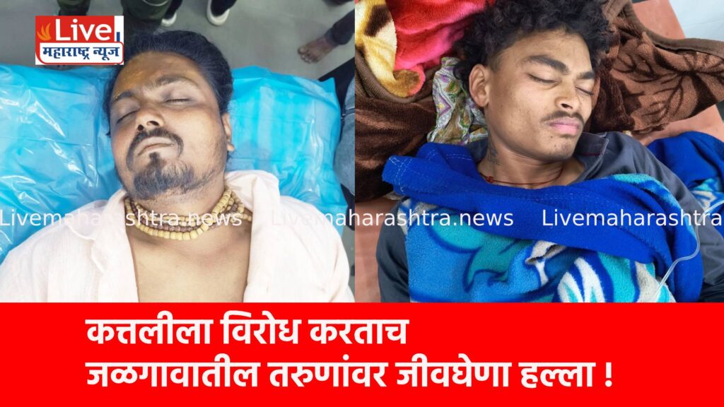 कत्तलीला विरोध करताच जळगावातील तरुणांवर जीवघेणा हल्ला !