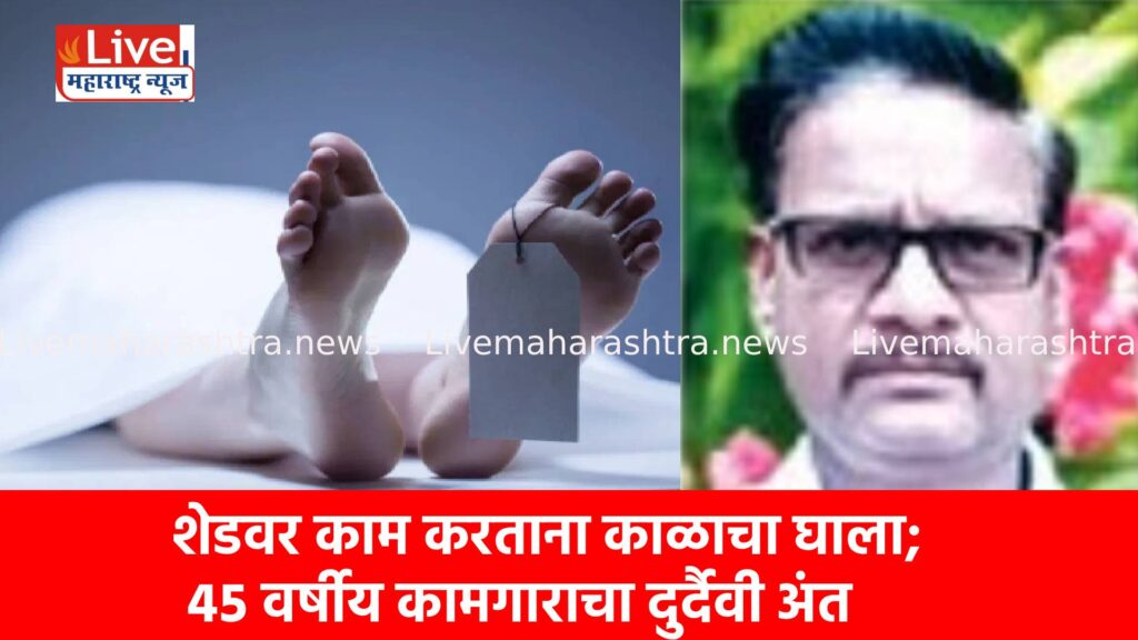 शेडवर काम करताना काळाचा घाला; ४५ वर्षीय कामगाराचा दुर्दैवी अंत