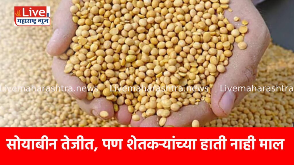 सोयाबीन तेजीत, पण शेतकऱ्यांच्या हाती नाही माल