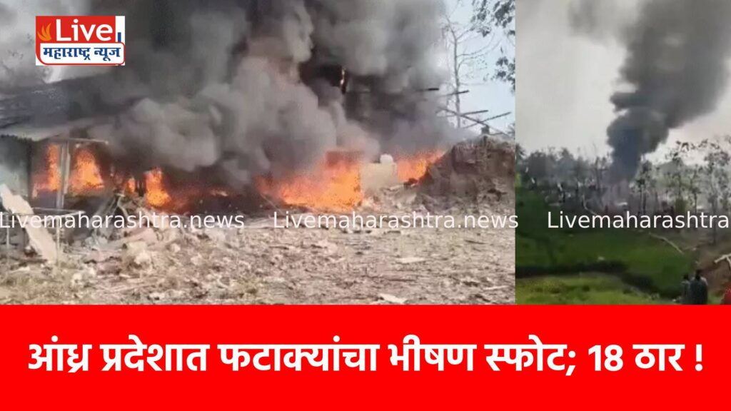 आंध्र प्रदेशात फटाक्यांचा भीषण स्फोट; १८ ठार !