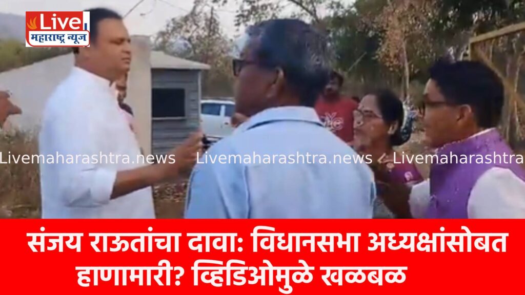 संजय राऊतांचा दावा: विधानसभा अध्यक्षांसोबत हाणामारी? व्हिडिओमुळे खळबळ