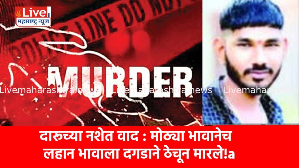 दारूच्या नशेत वाद : मोठ्या भावानेच लहान भावाला दगडाने ठेचून मारले!