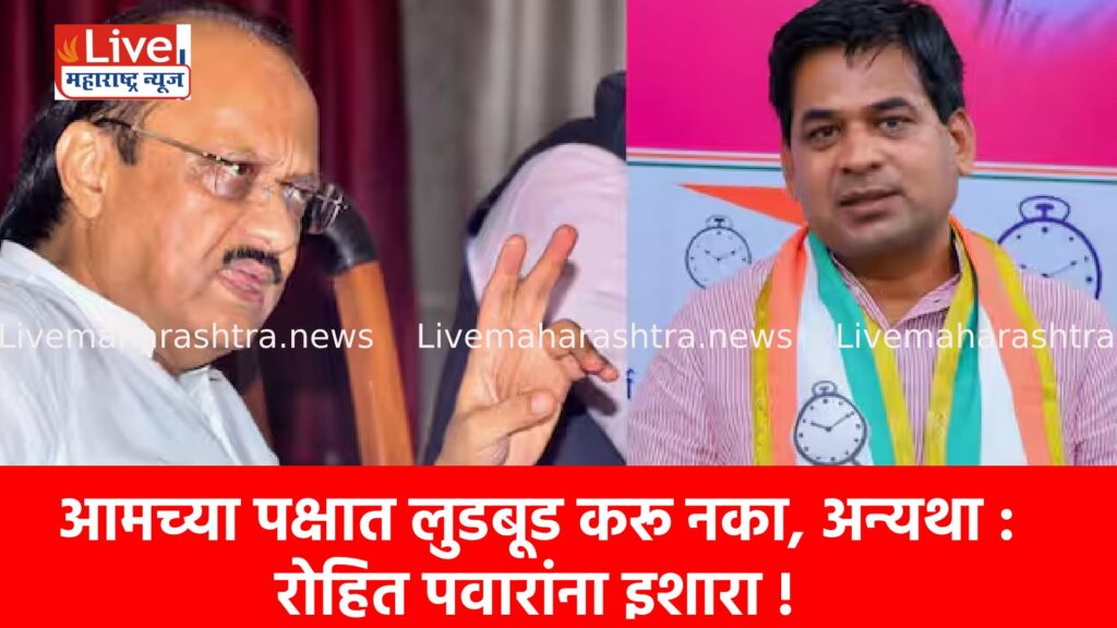 आमच्या पक्षात लुडबूड करू नका, अन्यथा : रोहित पवारांना इशारा !