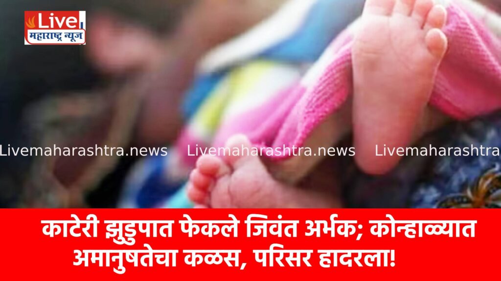 काटेरी झुडुपात फेकले जिवंत अर्भक; कोन्हाळ्यात अमानुषतेचा कळस, परिसर हादरला!