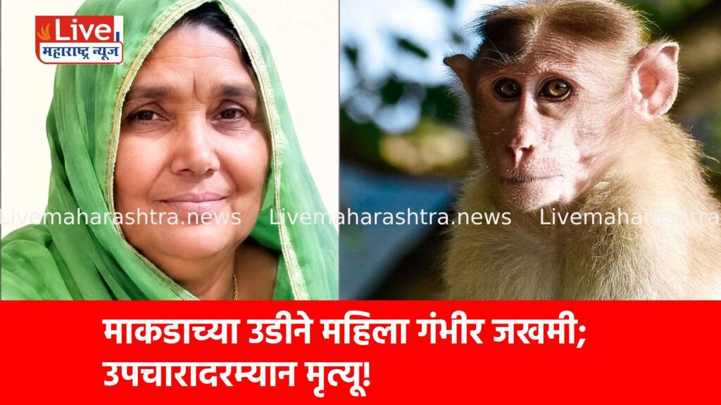 माकडाच्या उडीने महिला गंभीर जखमी; उपचारादरम्यान मृत्यू!