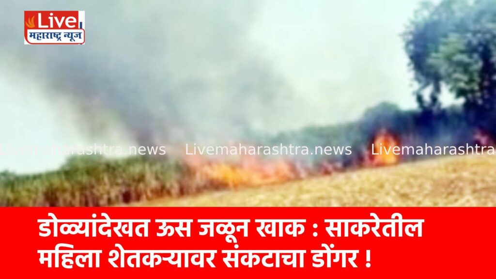 डोळ्यांदेखत ऊस जळून खाक : साकरेतील महिला शेतकऱ्यावर संकटाचा डोंगर !